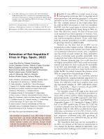 Detection of Rat Hepatitis E Virus in Pigs, Spain, 2023