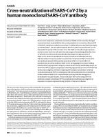 Cross-neutralization of SARS-CoV-2 by a human monoclonal SARS-CoV antibody