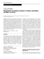 Biodegradation and biological treatments of cellulose, hemicellulose and lignin: an overview