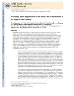 Promoting Axon Regeneration in the Adult CNS by Modulation of the PTEN/mTOR Pathway