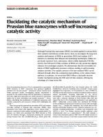 Elucidating the catalytic mechanism of Prussian blue nanozymes with self-increasing catalytic activity