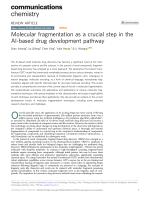 Molecular fragmentation as a crucial step in the AI-based drug development pathway