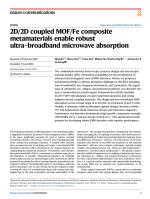 2D/2D coupled MOF/Fe composite metamaterials enable robust ultra-broadband microwave absorption