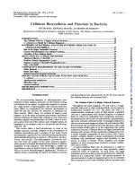 Cellulose Biosynthesis and Function in Bacteria