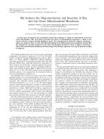 Bid Induces the Oligomerization and Insertion of Bax into the Outer Mitochondrial Membrane