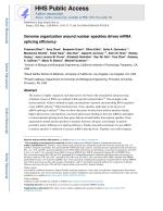 Genome organization around nuclear speckles drives mRNA splicing efficiency