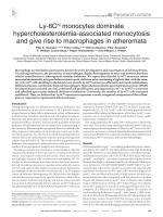Ly-6C<sup>hi</sup> monocytes dominate hypercholesterolemia-associated monocytosis and give rise to macrophages in atheromata