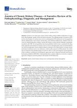 Anemia of Chronic Kidney Disease—A Narrative Review of Its Pathophysiology, Diagnosis, and Management