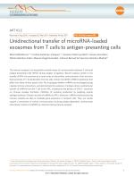 Unidirectional transfer of microRNA-loaded exosomes from T cells to antigen-presenting cells