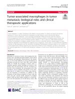 Tumor-associated macrophages in tumor metastasis: biological roles and clinical therapeutic applications