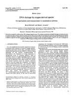 DNA damage by oxygen-derived species Its mechanism and measurement in mammalian systems