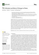 The Utilization and Roles of Nitrogen in Plants