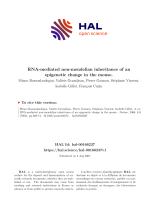 RNA-mediated non-mendelian inheritance of an epigenetic change in the mouse
