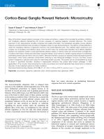 Cortico-Basal Ganglia Reward Network: Microcircuitry