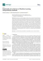 Explainable AI: A Review of Machine Learning Interpretability Methods