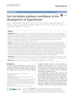 Gut microbiota dysbiosis contributes to the development of hypertension