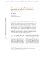 Homeostatic Synaptic Plasticity: Local and Global Mechanisms for Stabilizing Neuronal Function