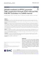 ZNF460-mediated circRPPH1 promotes TNBC progression through ITGA5-induced FAK/PI3K/AKT activation in a ceRNA manner
