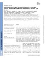 Antimicrobial strategies centered around reactive oxygen species – bactericidal antibiotics, photodynamic therapy, and beyond