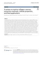 A review on marine collagen: sources, extraction methods, colloids properties, and food applications