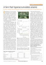 A fern that hyperaccumulates arsenic
