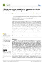 Chitosan and Chitosan Nanoparticles Differentially Alleviate Salinity Stress in Phaseolus vulgaris L. Plants