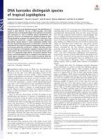DNA barcodes distinguish species of tropical Lepidoptera