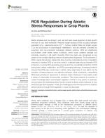 ROS Regulation During Abiotic Stress Responses in Crop Plants