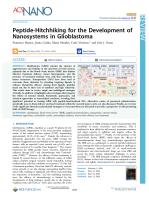Peptide-Hitchhiking for the Development of Nanosystems in Glioblastoma