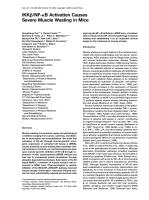 IKKβ/NF-κB Activation Causes Severe Muscle Wasting in Mice