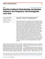 Interface-induced dual-pinning mechanism enhances low-frequency electromagnetic wave loss