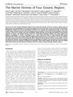 The Marine Viromes of Four Oceanic Regions