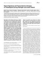 Signal Signature and Transcriptome Changes of Arabidopsis During Pathogen and Insect Attack