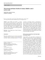 The present and future burden of urinary bladder cancer in the world