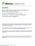 Glutathione