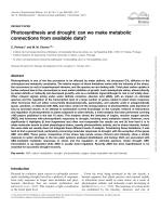 Photosynthesis and drought: can we make metabolic connections from available data?