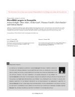 MicroRNA targets in Drosophila