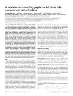 A mechanism converting psychosocial stress into mononuclear cell activation