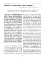 Biochemical Characterization of Human Collagenase-3