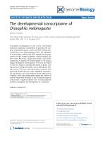 The developmental transcriptome of Drosophila melanogaster