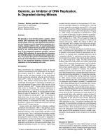 Geminin, an Inhibitor of DNA Replication, Is Degraded during Mitosis