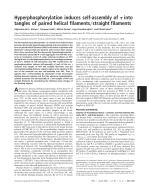 Hyperphosphorylation induces self-assembly of τ into tangles of paired helical filaments/straight filaments