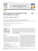 Roles, Functions, and Mechanisms of Long Non-coding RNAs in Cancer