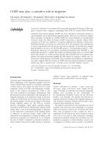 CGRP may play a causative role in migraine