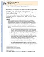 Balancing forces: architectural control of mechanotransduction
