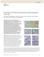 Essential role of Plzf in maintenance of spermatogonial stem cells