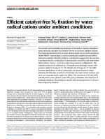 Efficient catalyst-free N₂ fixation by water radical cations under ambient conditions
