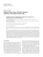 Review Article Biology of Bone Tissue: Structure, Function, and Factors That Influence Bone Cells