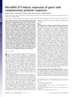 MicroRNA-373 induces expression of genes with complementary promoter sequences