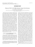 Memory CD8 T-Cell Differentiation during Viral Infection